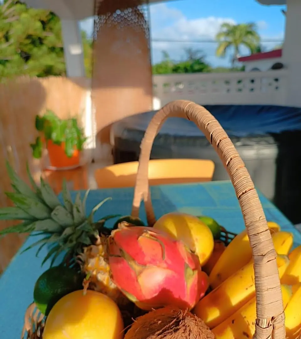 Apartament La Kaza Tresor - Joli Appartement T2 Et Spa Prive Sainte-Anne